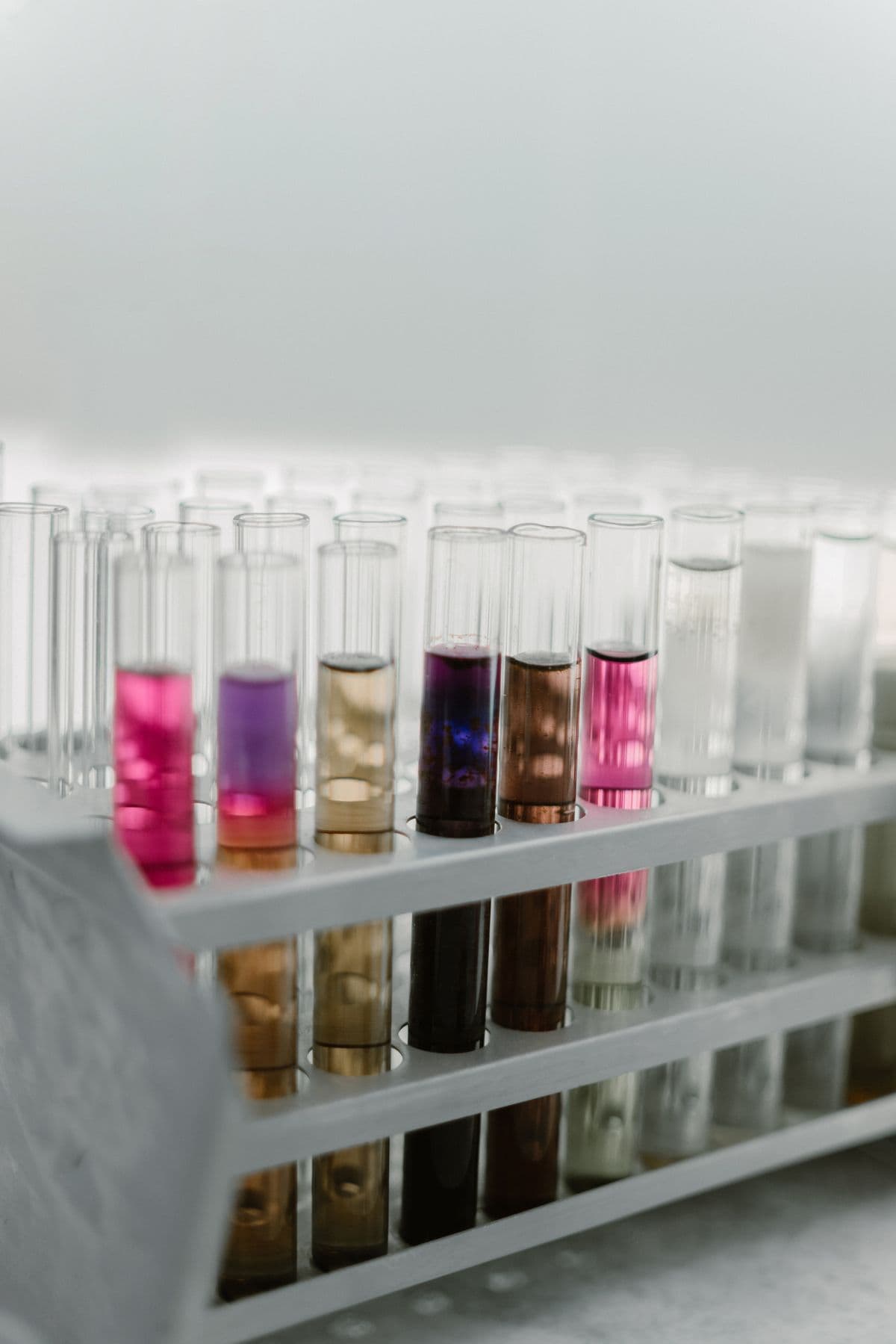 Nanotechnology Program